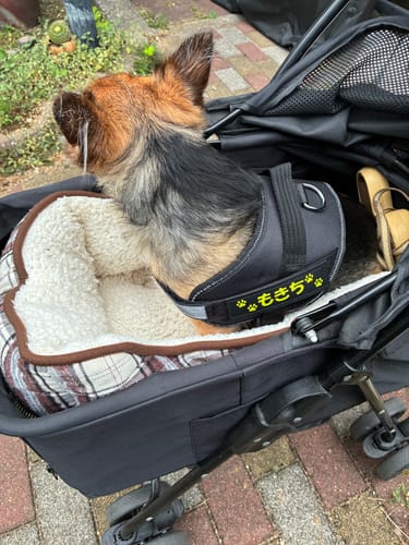 Customer photo review of FunFunPet 高機能ハーネス（お名前タグ作成サービス付き）