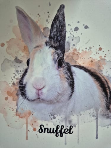 Customer photo review of Tegel met Gepersonaliseerd Huisdier Portret in Aquarelstijl