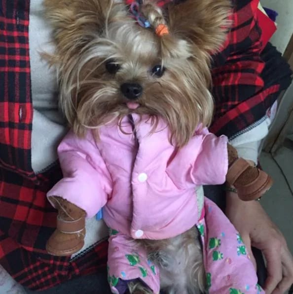 Customer photo review of 4 Boots Faux Fur Lined Winter
