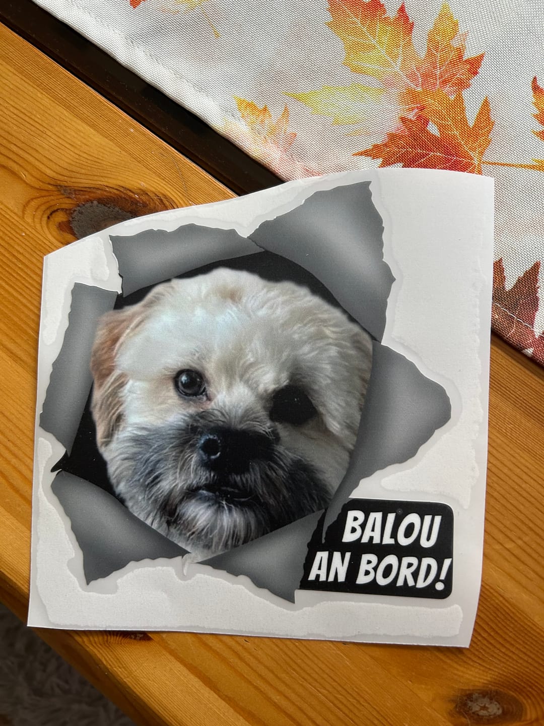 Customer photo review of An Bord (Fotoupload) - Personalisierter Autoaufkleber