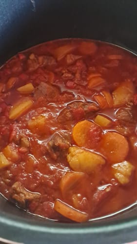Customer photo review of Multicooker Novio EasyCook
