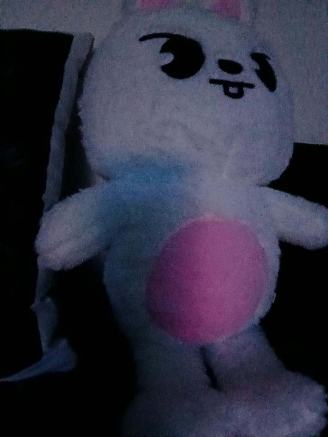 Customer photo review of SKZ Teddybear Plush