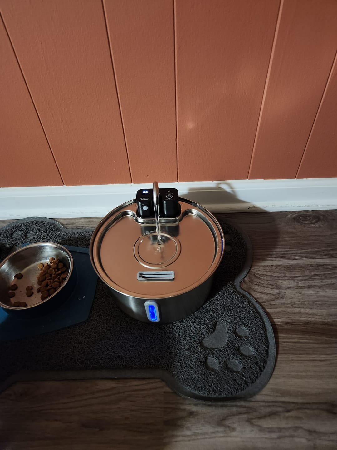 Customer photo review of Pawdrate™ Filtered Water Fountain (Battery Version)