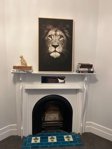 Customer photo review of Lion's Pride