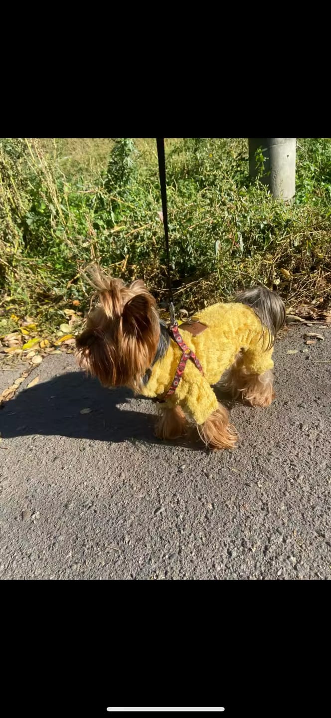 Customer photo review of Linda Cozy Sweater