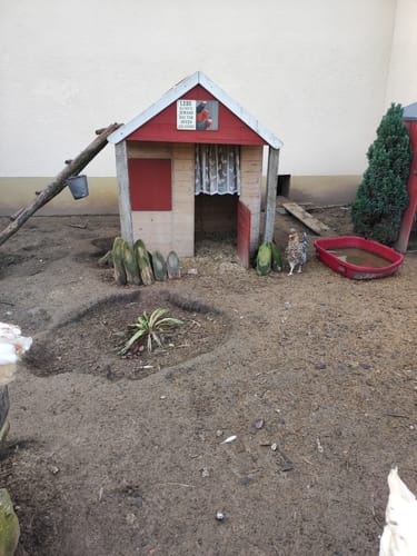 Customer photo review of Frische Eier Schild Popo Pralinen - Gartenschild