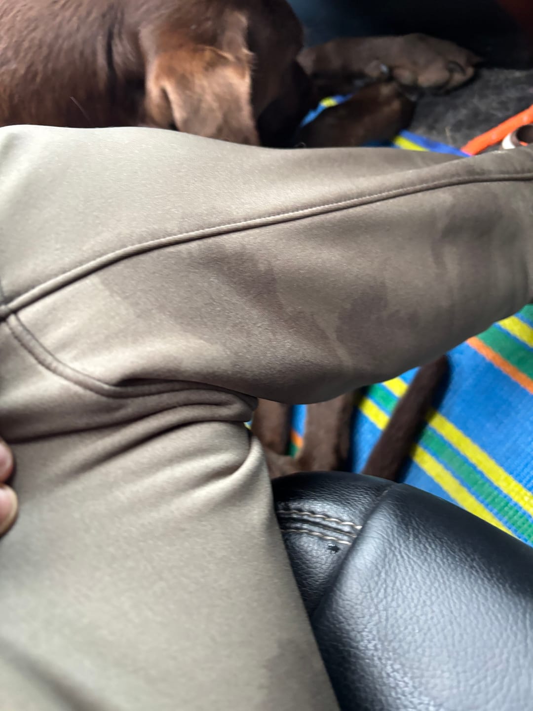 Customer photo review of TIDEWE × MinnDak Slough Dawgs TIZIP® Breathable Duck Hunting Waders