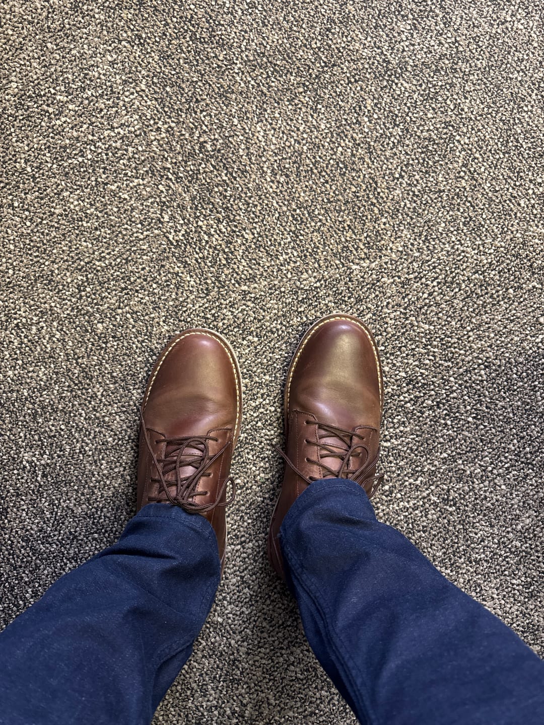 Customer photo review of Lithium Vellie Choc Brown