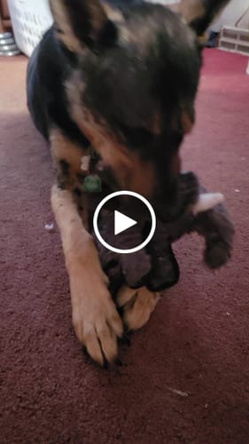 Customer video review of Tough Plush - Triple Stitch