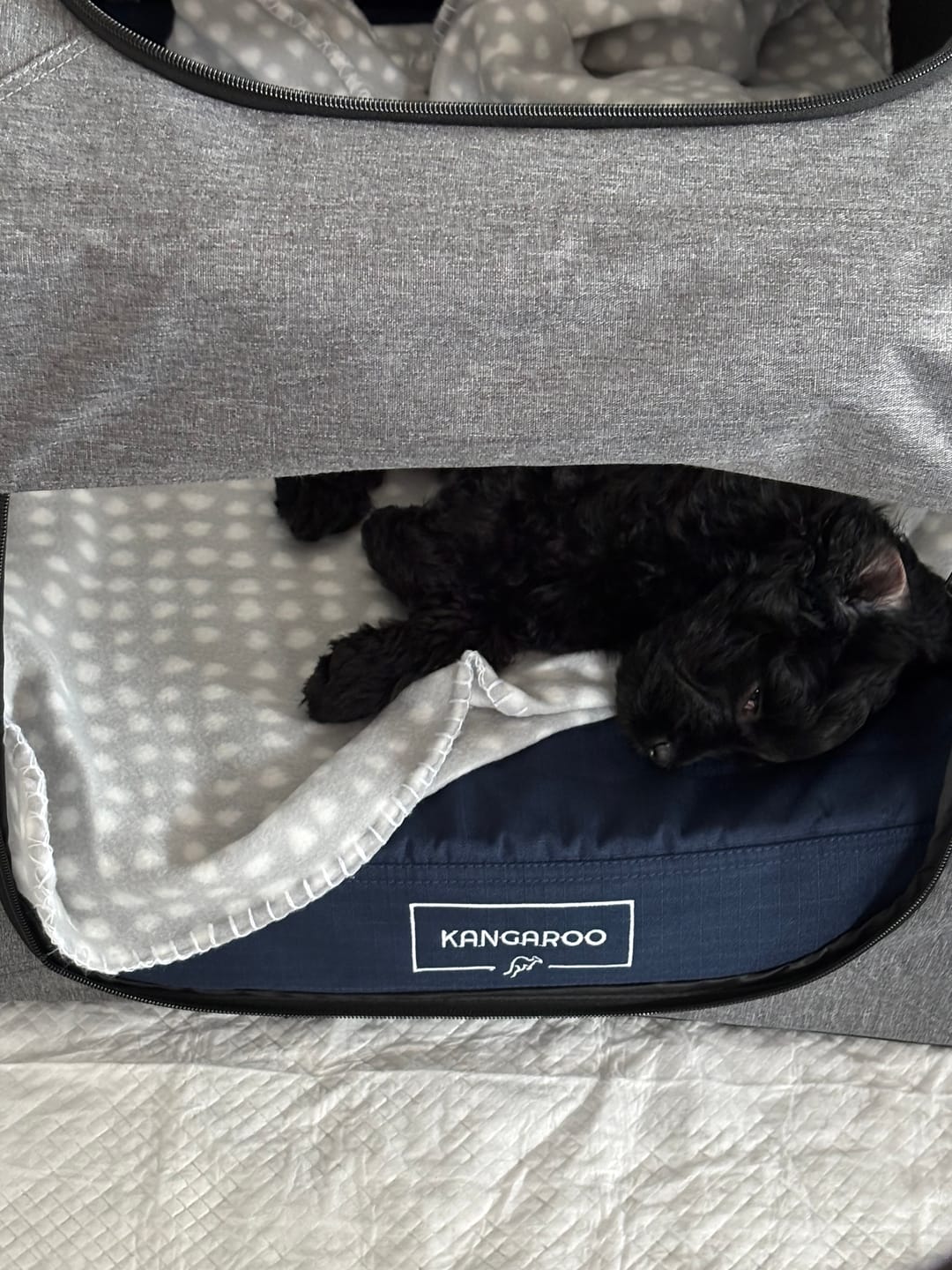 Customer photo review of Kangaroo Dog Crate Mat