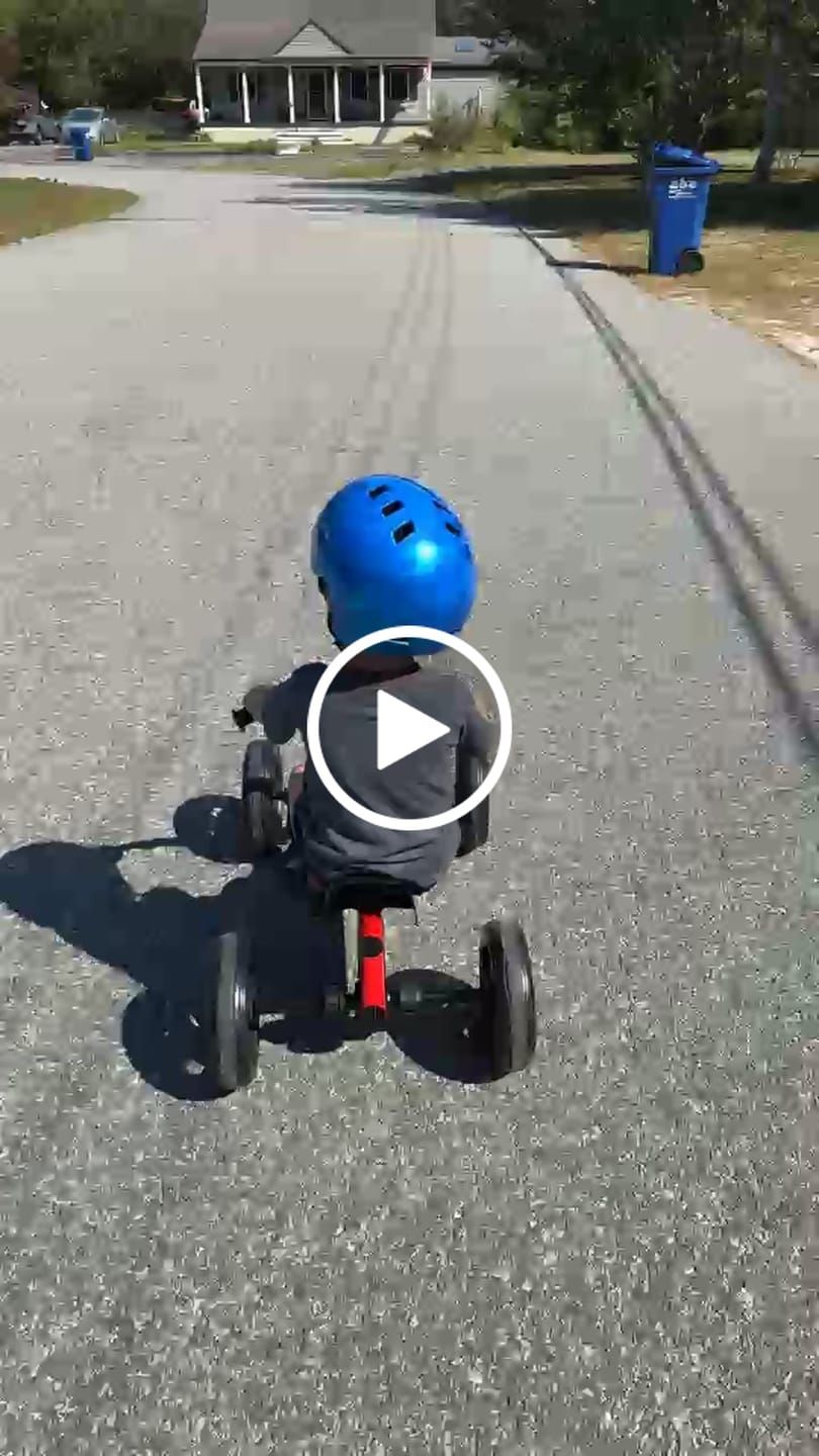 Customer video review of BERG Buzzy