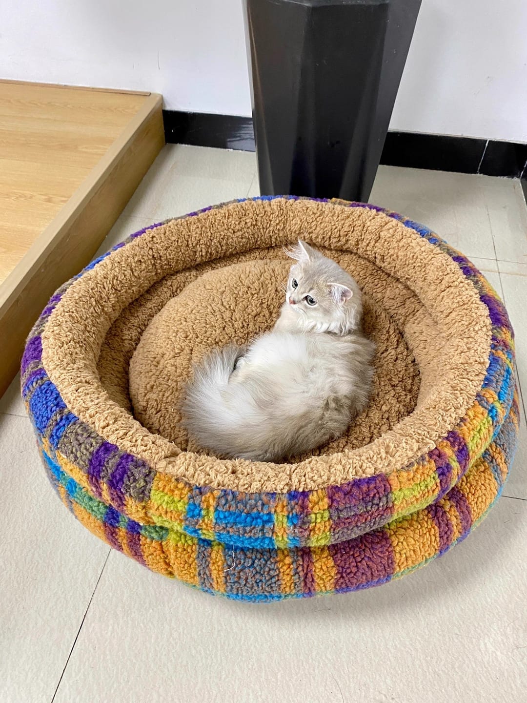 Customer photo review of Vintage Plaid  Faux Lambswool Round Pet Bed