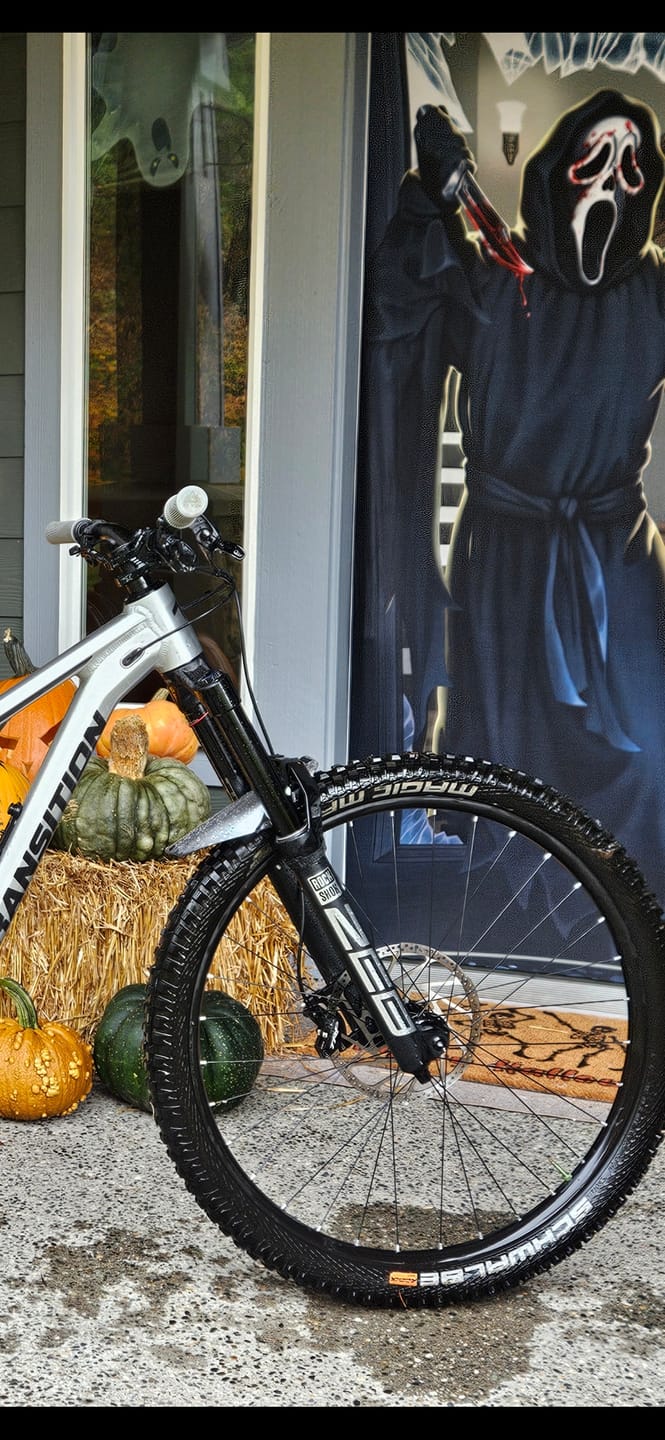 Customer photo review of Metallic Silver Fender