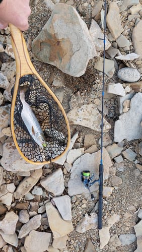 Customer photo review of Custom Panfish Rod