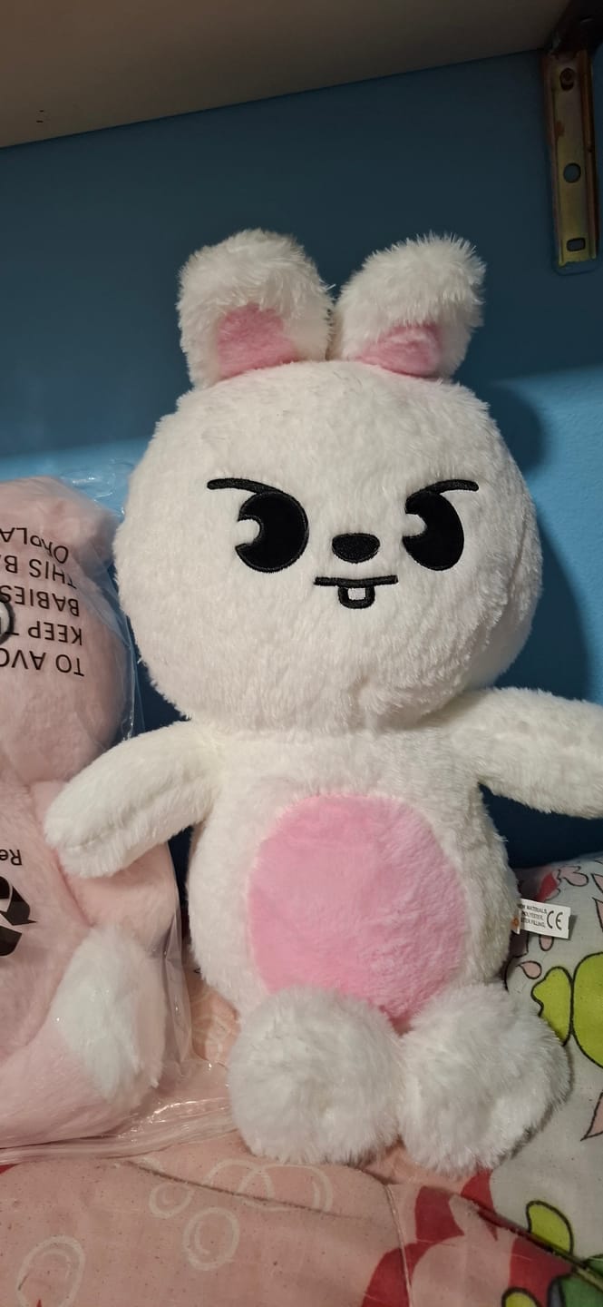 Customer photo review of SKZ Teddybear Plush