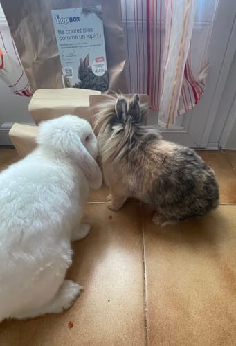 Customer photo review of Box Légumes – 300g 🥕🌿