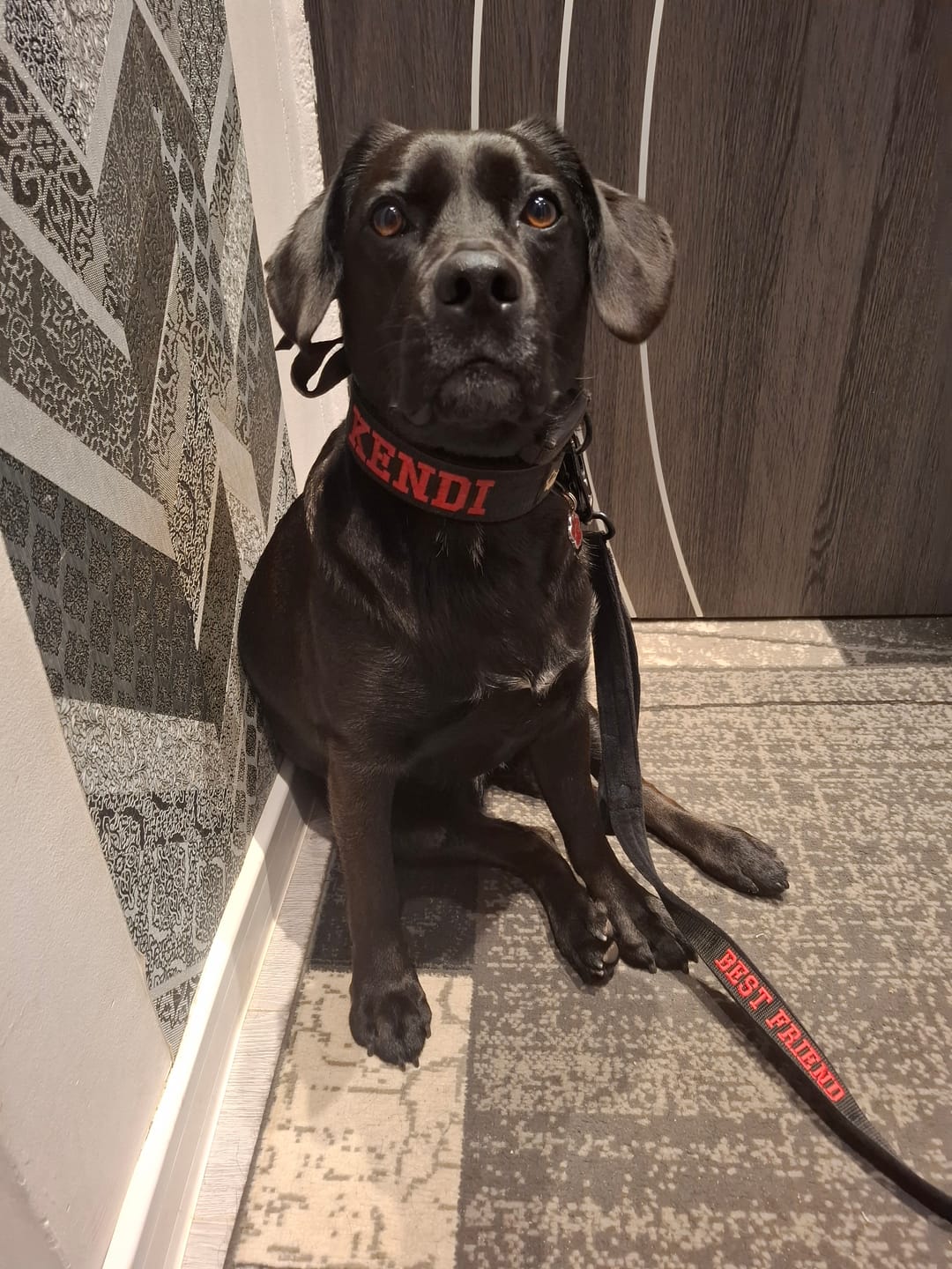 Customer photo review of Obroża dla psa z imieniem - Personal Standard