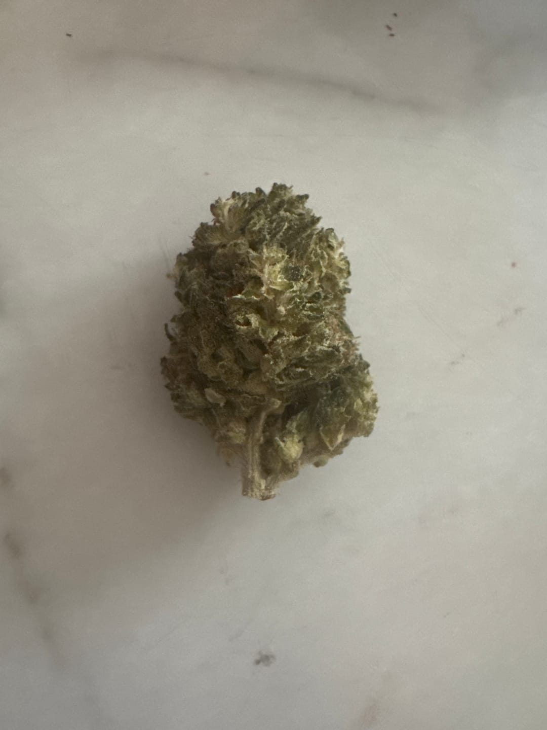 Customer photo review of HHZ Blüte - Northern Lights