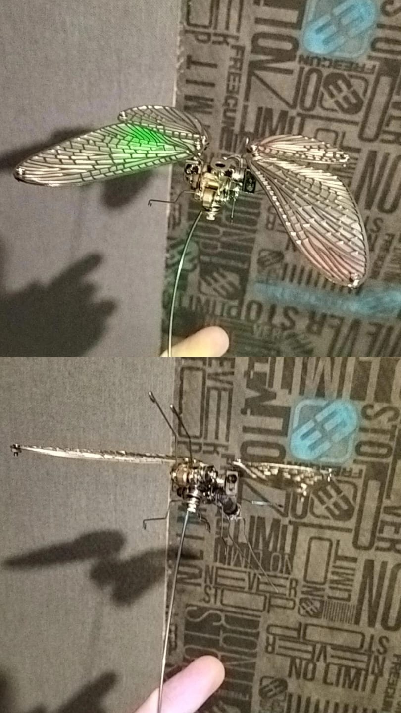 Customer photo review of Mayfly