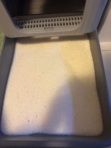 Customer photo review of 3 Month Supply - 1 Cat