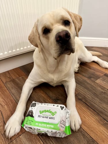 Customer photo review of Fragrance Free Glove Pet Wipes for Full Body, Bum & Paws (30)