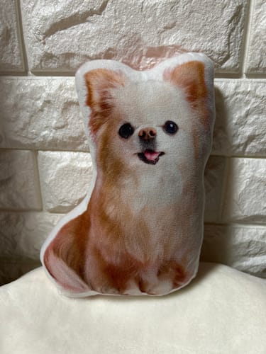 Customer photo review of 本物そっくり♪ペットクッション