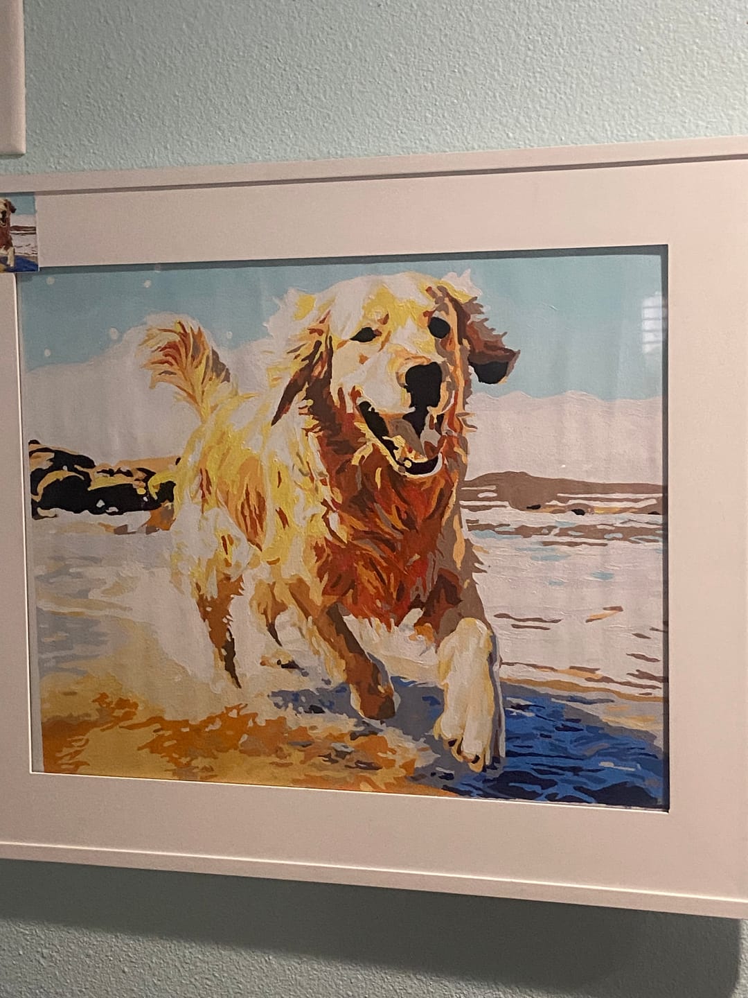 Customer photo review of Beach Day