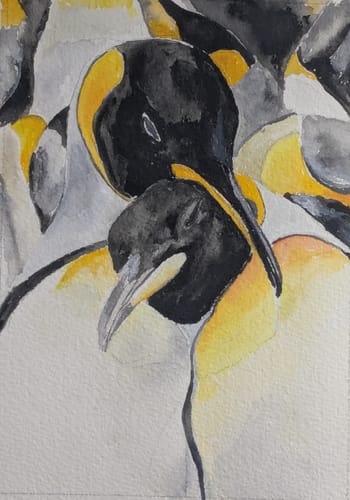 Customer photo review of 5x7 Giclee Fine Art Prints