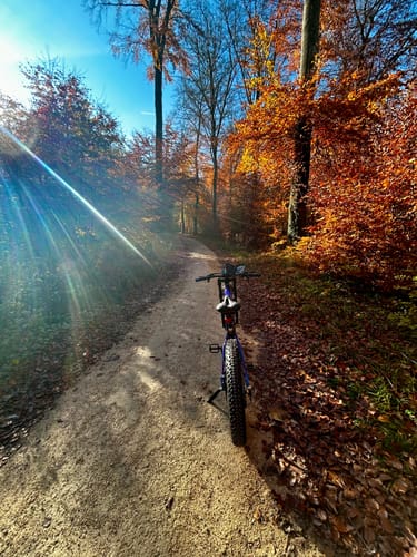Customer photo review of DUOTTS E26 Electric Bike