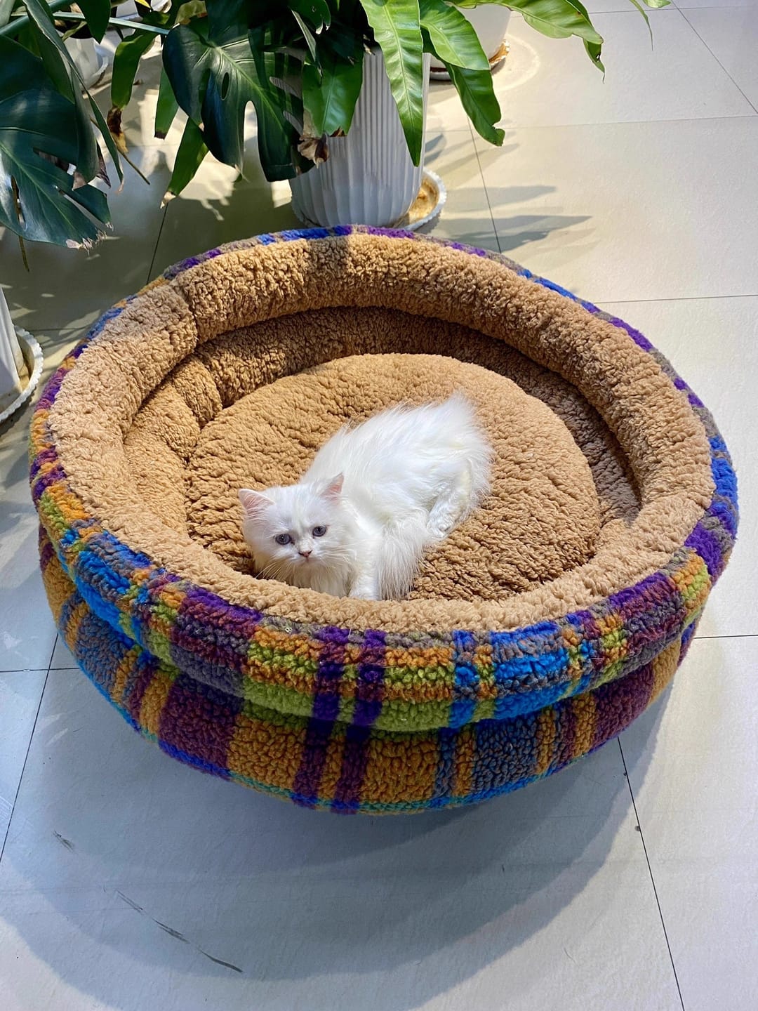 Customer photo review of Vintage Plaid  Faux Lambswool Round Pet Bed