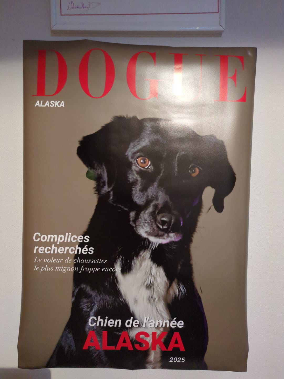 Customer photo review of Dogue - Poster personnalisé