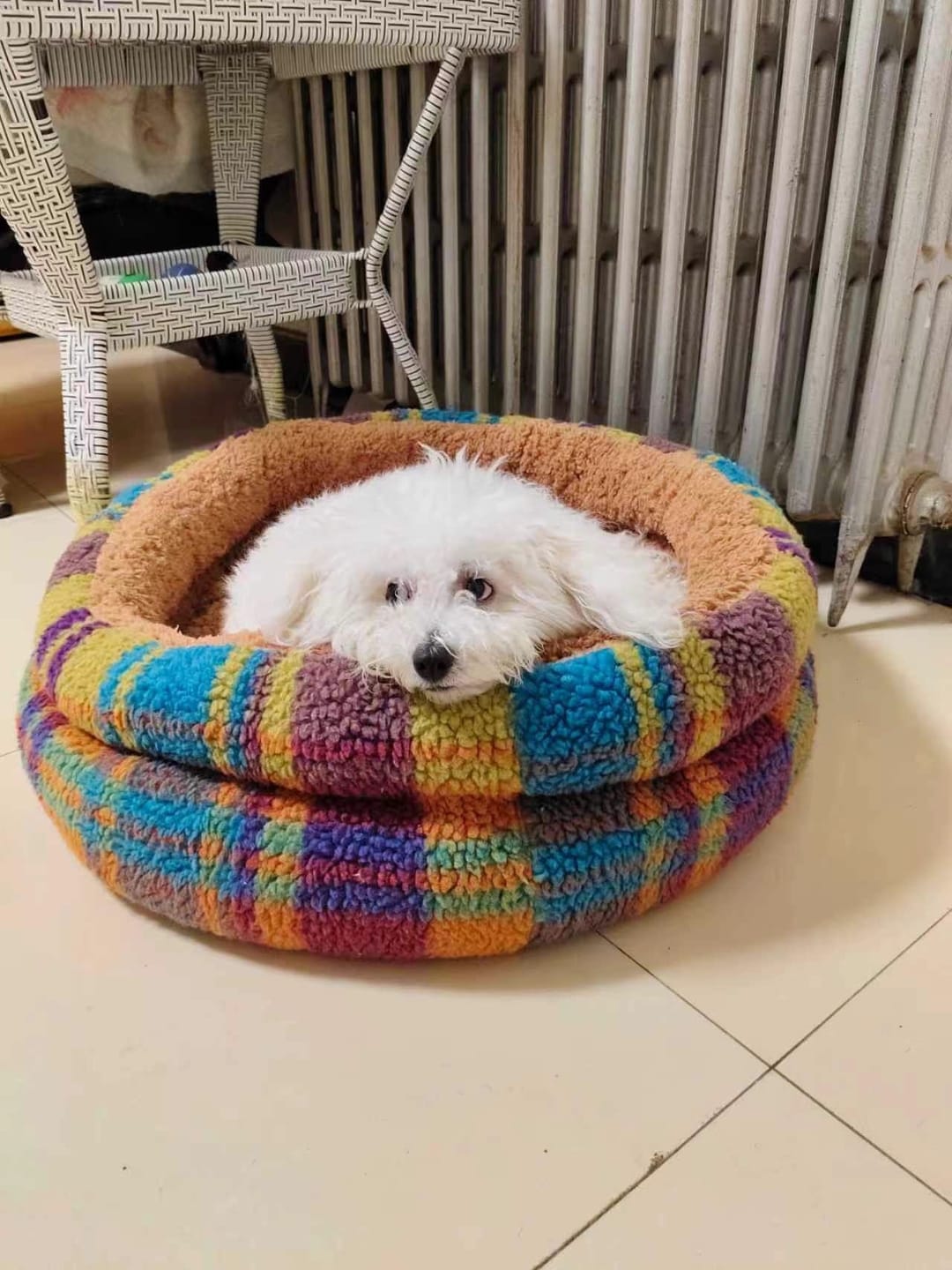 Customer photo review of Vintage Plaid  Faux Lambswool Round Pet Bed