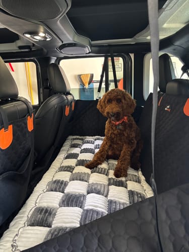 Customer photo review of RuffRover 2.0™ - Hard Bottom Back Seat Extender + (FREE Dog Bed)