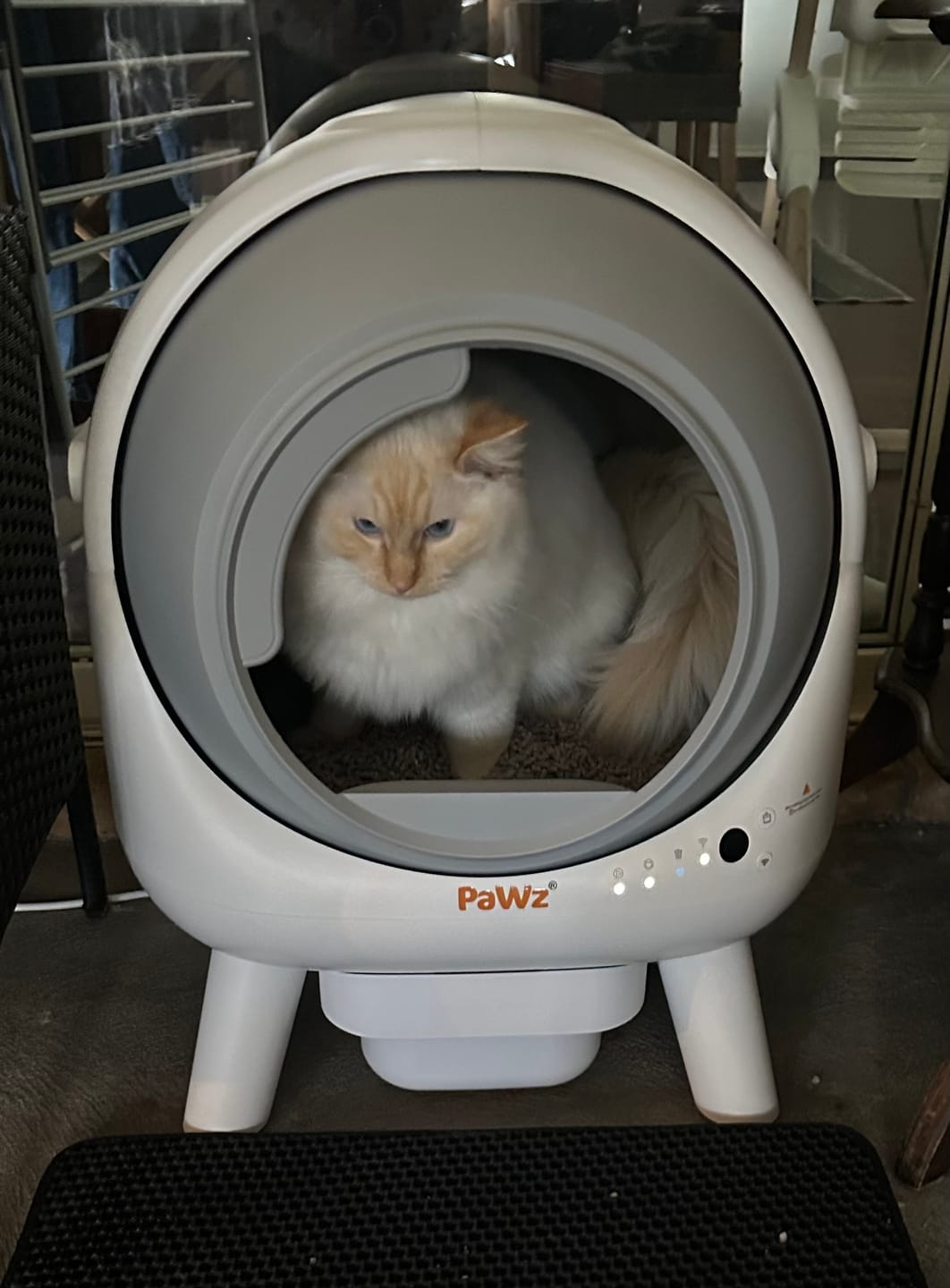 Customer photo review of AutoClean Pro Automatic Self Cleaning Cat Litter Box