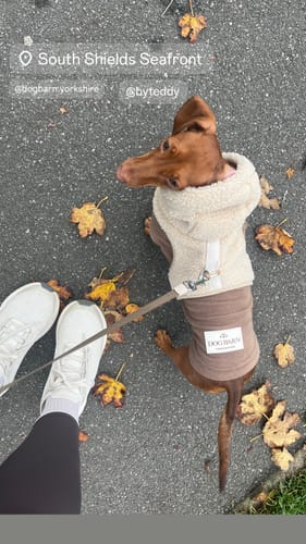 Customer photo review of The Cosy Hoodie Harness