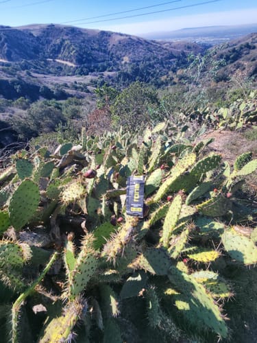 Customer photo review of VARIETY PACK - 100mg Caffeine - SuperCharged Honey (20-Pack)