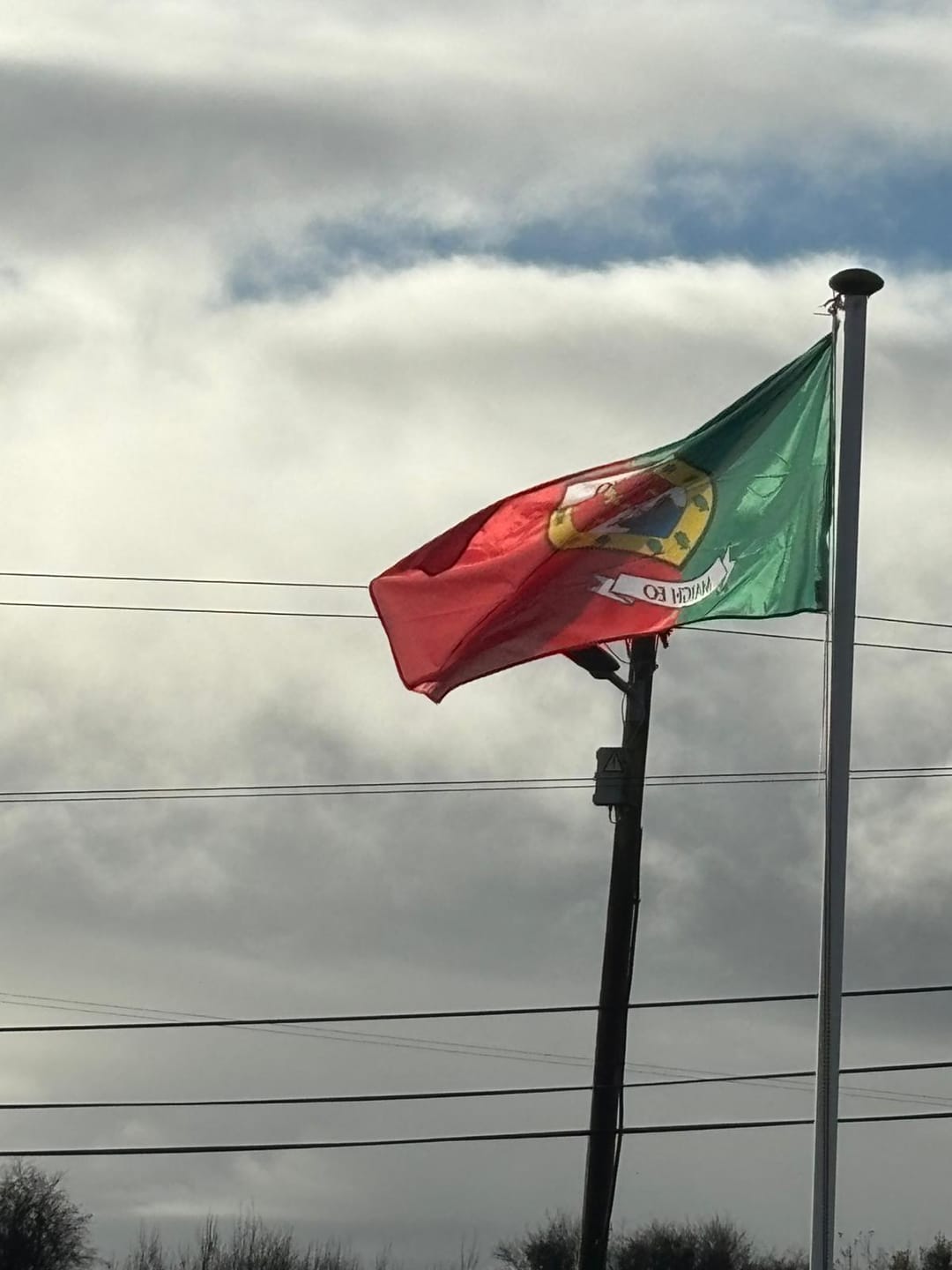 Customer photo review of Mayo County Crest Flag
