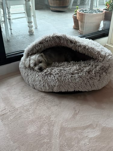 Customer photo review of Relax Mat - Soft Touch Tatami Mat