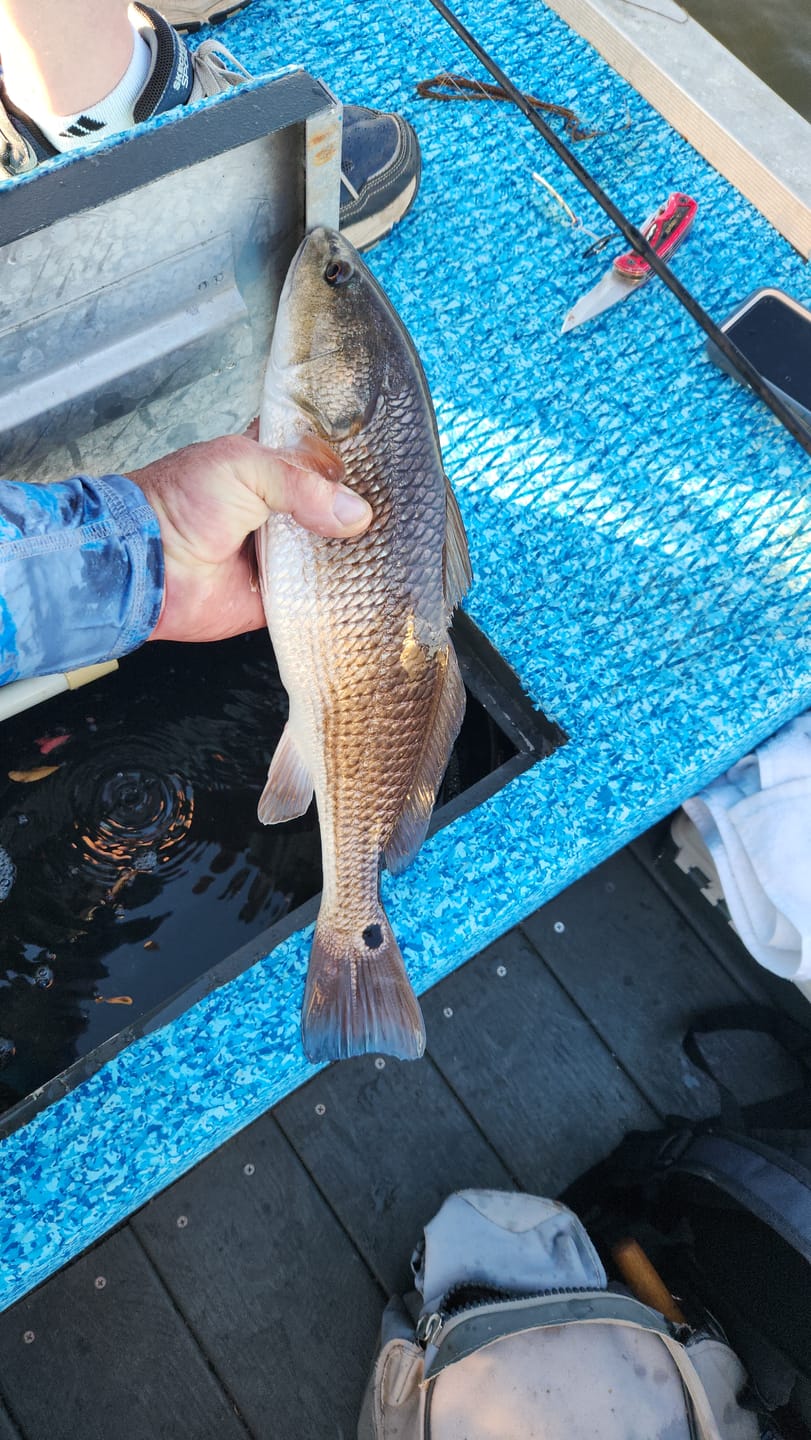 Customer photo review of Braided Fishing Line - 300 Yards, Pro Grade Performance for Saltwater & Freshwater- Beyond Braid