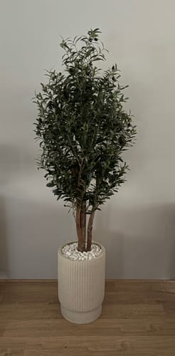 Customer photo review of Kunst Olijfboom 165cm Deluxe