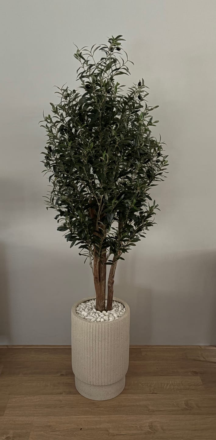 Customer photo review of Kunst Olijfboom 165cm Deluxe