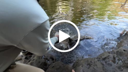 Customer video review of Custom Hooded UPF Shirt