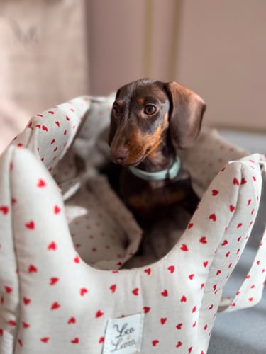 Customer photo review of Borsa Cotone Panama Little Love Heart Red