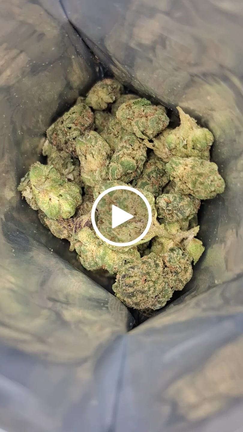 Customer video review of THCa Indoor Smalls