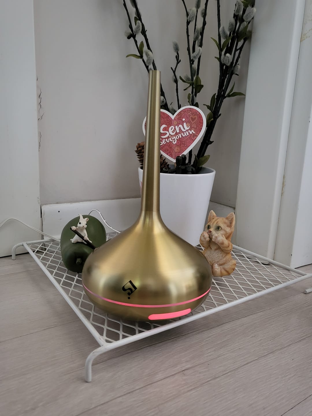 Customer photo review of Chitra Difüzör