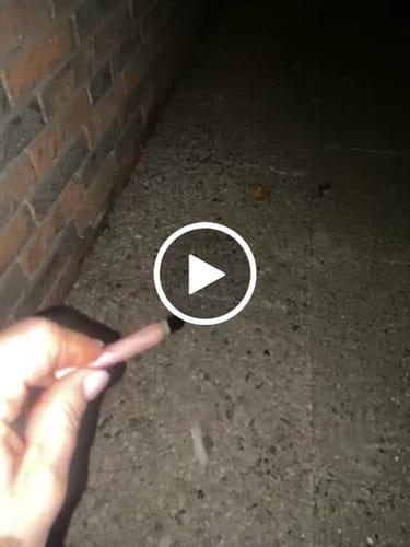 Customer video review of Lemon Pop PHC