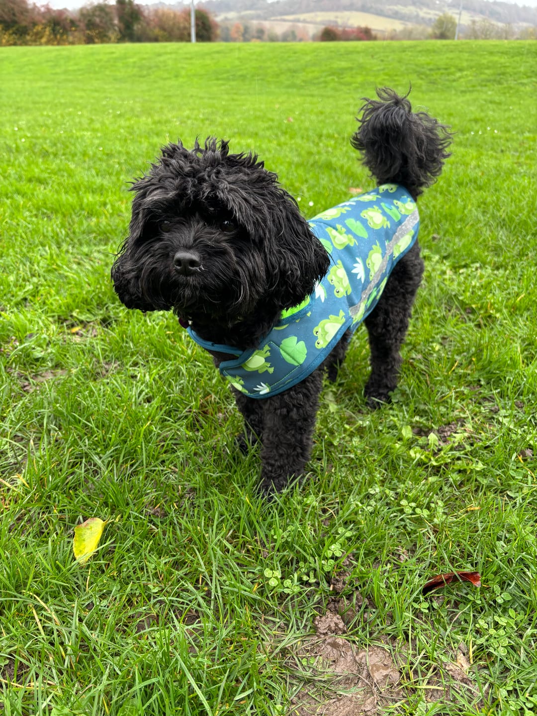 Customer photo review of Rain Jacket - Frogging Fabulous