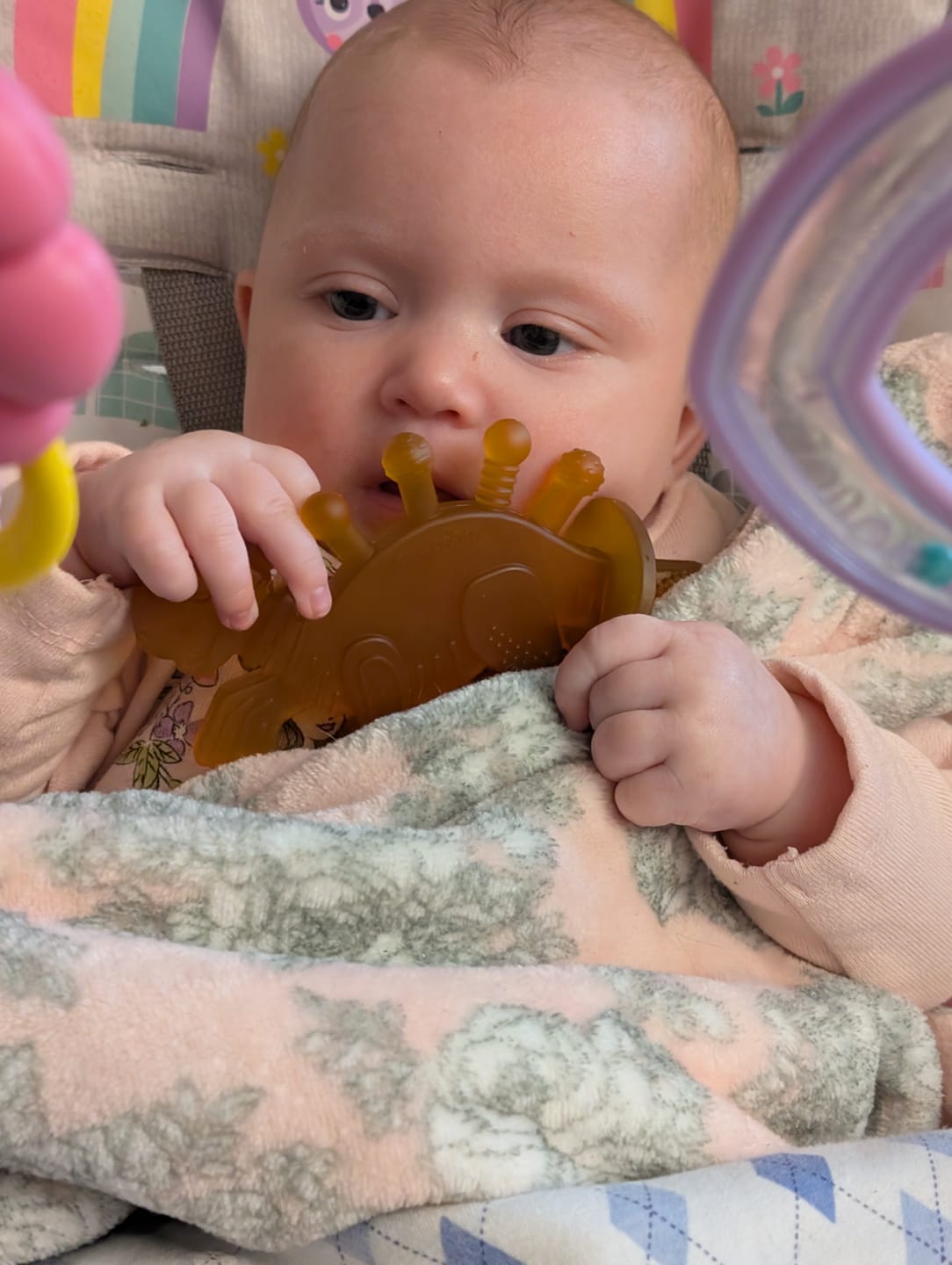 Customer photo review of Dibly Amber - Baltic Amber & Natural Rubber Dinosaur Teether with Toothbrush Tail