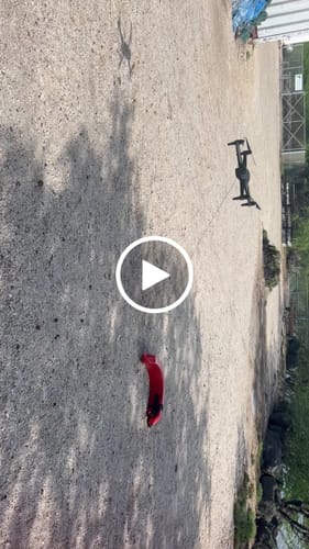 Customer video review of Aeroo Pro Combo