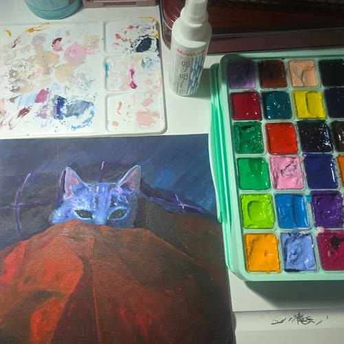 Customer photo review of Himi - Kit Gouache Paint Set 12 Piezas
